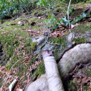 Purificateur d’air